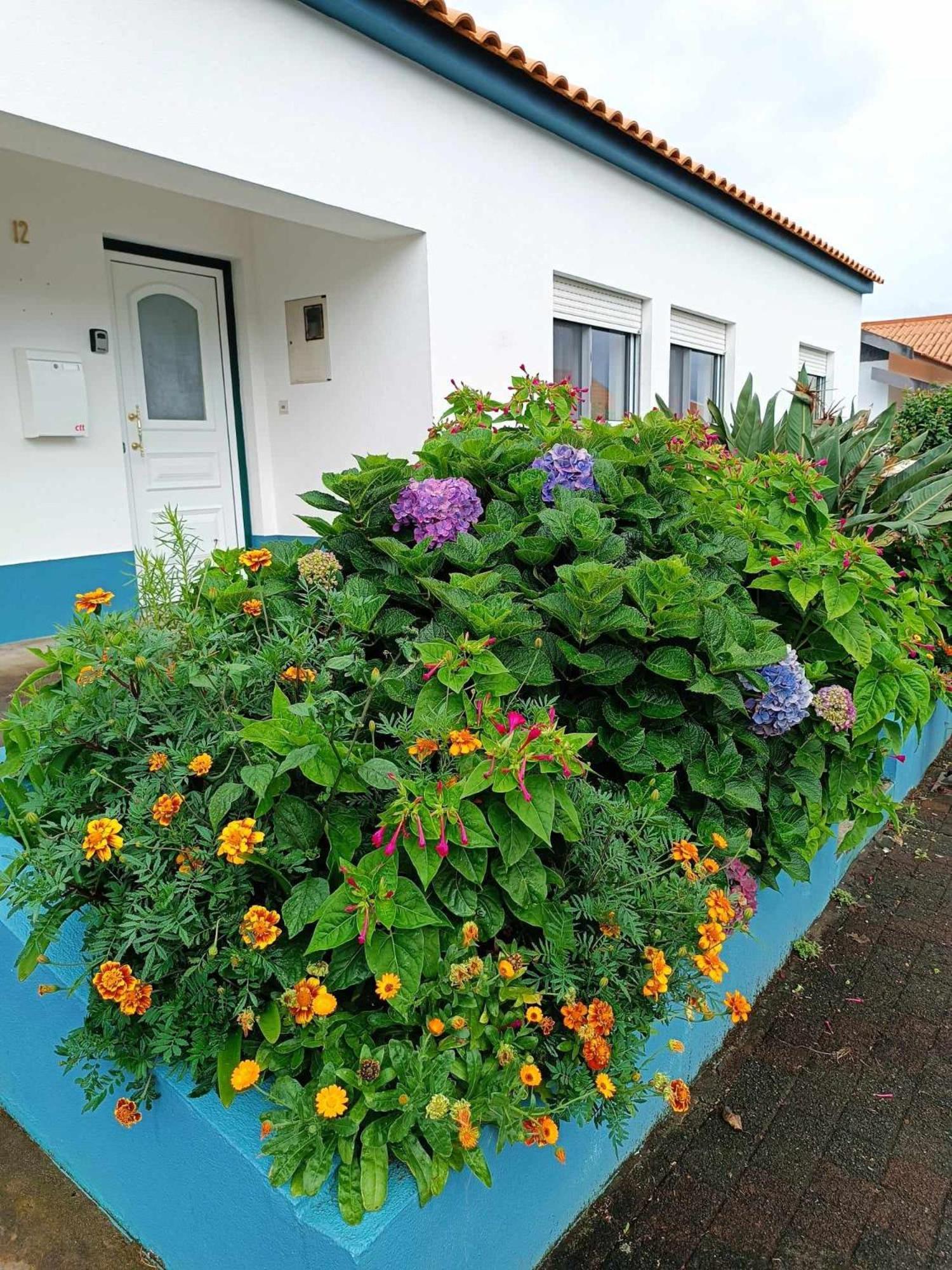 Apartamento Da Matilde Santa Cruz das Flores Exteriér fotografie
